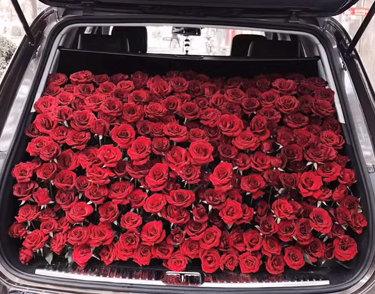 Ultimate Date Night